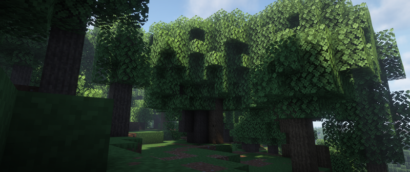 Datei:Buchenstamm Beispiel.png