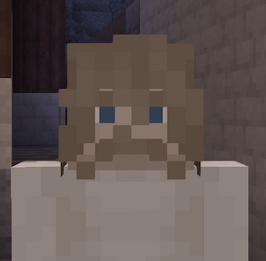 Verwechslungsgefahr Haare.png