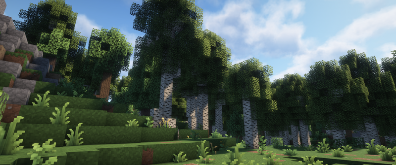 Datei:Birkenstamm Beispiel.png